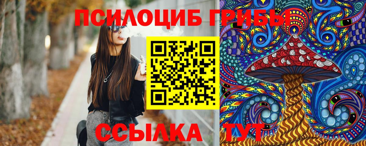 Старый Оскол  Галлюциногенные грибы прущие грибы  Вход с VPN 